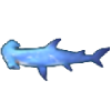 鲨鱼