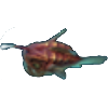 灯笼鱼