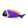 鱼种5