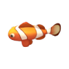 鱼种9